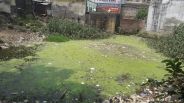 Amritam Jarmam Abhiyan CM Yogi Not giving attention to Vrihaspati Kund