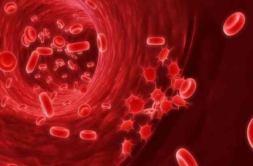 platelets 