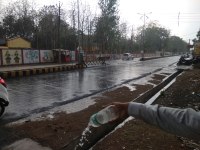 Rain accompanied by strong winds, wetlands