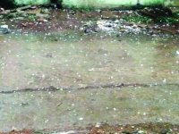 weather forecast today madhya pradesh