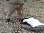 UP Police