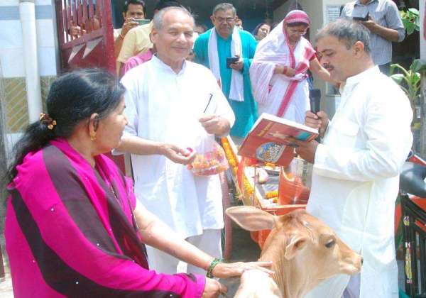 Cow Grass Service Vehicle