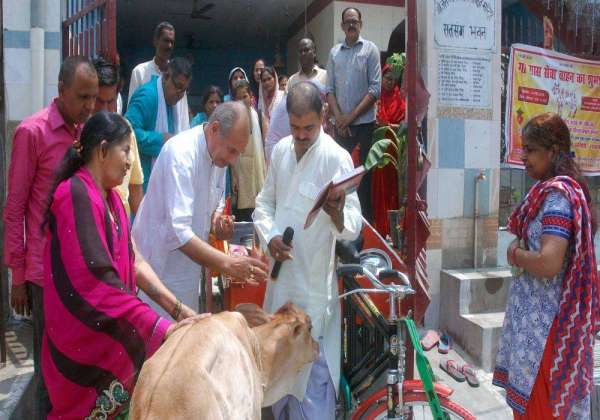 Cow Grass Service Vehicle