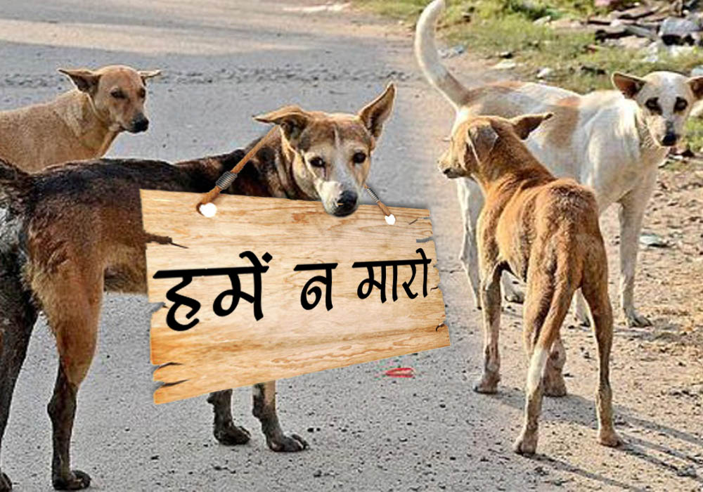 Politics on dog in uttar pradesh