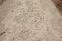 सड़क निर्माण में भ्रष्टाचार, शिकायत होने पर होती है बस इतनी सी कार्रवाई, पढि़ए खबर...