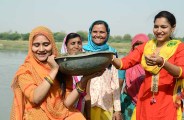 अमृतं जलम् 