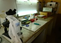 Blood donation blood, not over the check kit