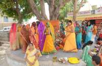 Photo Gallery : पति की दीर्घायु के लिए सुहागिनों ने की वट सावित्री की इस तरह की पूजा-अर्चना