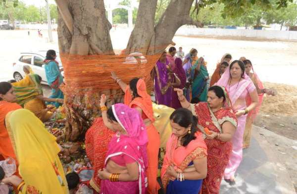 Photo Gallery : पति की दीर्घायु के लिए सुहागिनों ने की वट सावित्री की इस तरह की पूजा-अर्चना