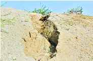 Can be evacuated village in bhilwara