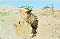 Can be evacuated village in bhilwara