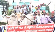 meerut