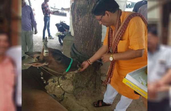  BJP Celebration Photos 