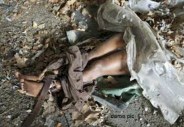 rape and murder