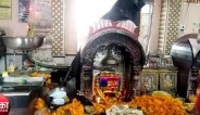 shani jaynti