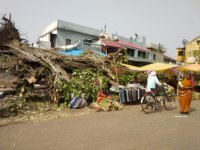 Thunderstorms, rain overthrown havoc