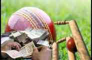 Cricket speculation