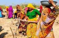 CEO of eight districts not able to cross 11 Employment