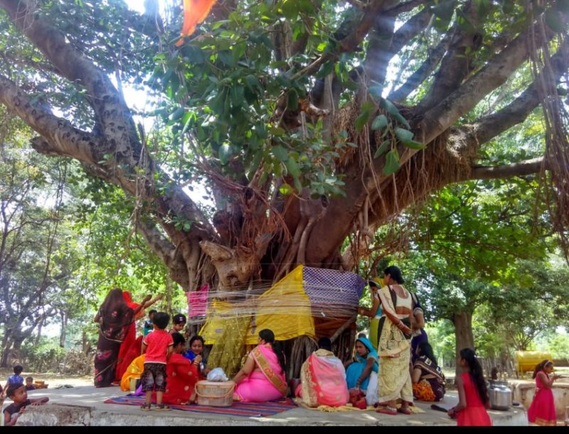 पति की लंबी उम्र और अखंड सौभाग्य पाने 16 श्रृंगार कर वट वृक्ष के नीचे पहुंची महिलाएं ...