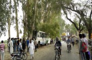 three killed in accident
