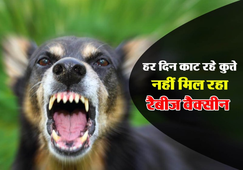 anti rabies injection