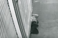 in china thief squeezes through rolling shutter stealing jewelry