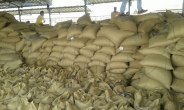 Rewa's farmer being exploited by officers in krishi upaj mandi