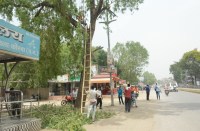 CG Political News : सीएम का विकास रथ रविवार को पहुंचेगा कोरबा, जानें क्या-क्या मिलने वाली है सौगात...