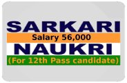 government jobs for 12th pass
