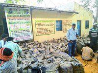 mukhyamantri bhavantar bhugtan yojana news in singrauli