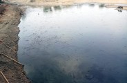 pond