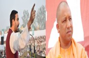 yogi