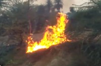 Fire in the enclosure