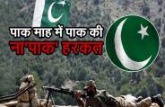Pak