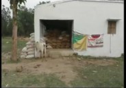 balrampur