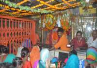 Tuesday special photo