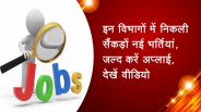 इन विभागों में निकली सैंकड़ों नई भर्तियां, जल्द करें अप्लाई, देखें वीडियो