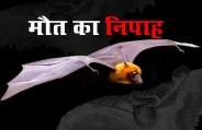 nipah virus 