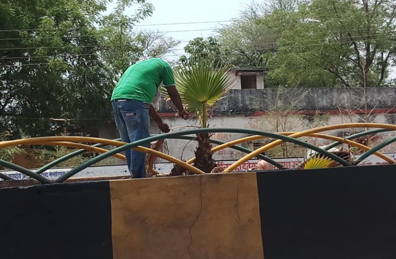 Video- शहर की शोभा बढ़ाने पांच साल पहले डिवाइडर में लगाए गए थे ये बेसकीमती पौधे, 200 में सिर्फ इतने ही पौधे बचे हैं जीवित