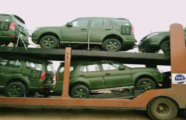 Safari Storme Army Edition