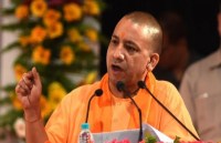yogi