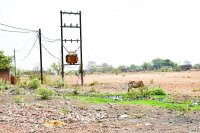 Satna Nagar Nigam Ward No. 17 news in hindi