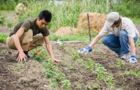 agriculture,Education News,admit card,Exam Tips,career courses,education tips in hindi,