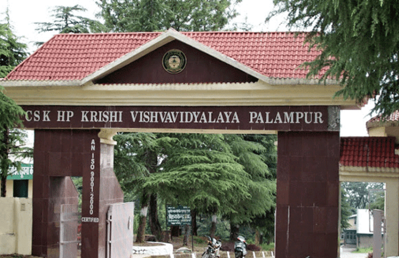 HPKV SRF recruitment 2018