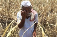 latest kisan news