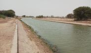 Jaisalmer patrika