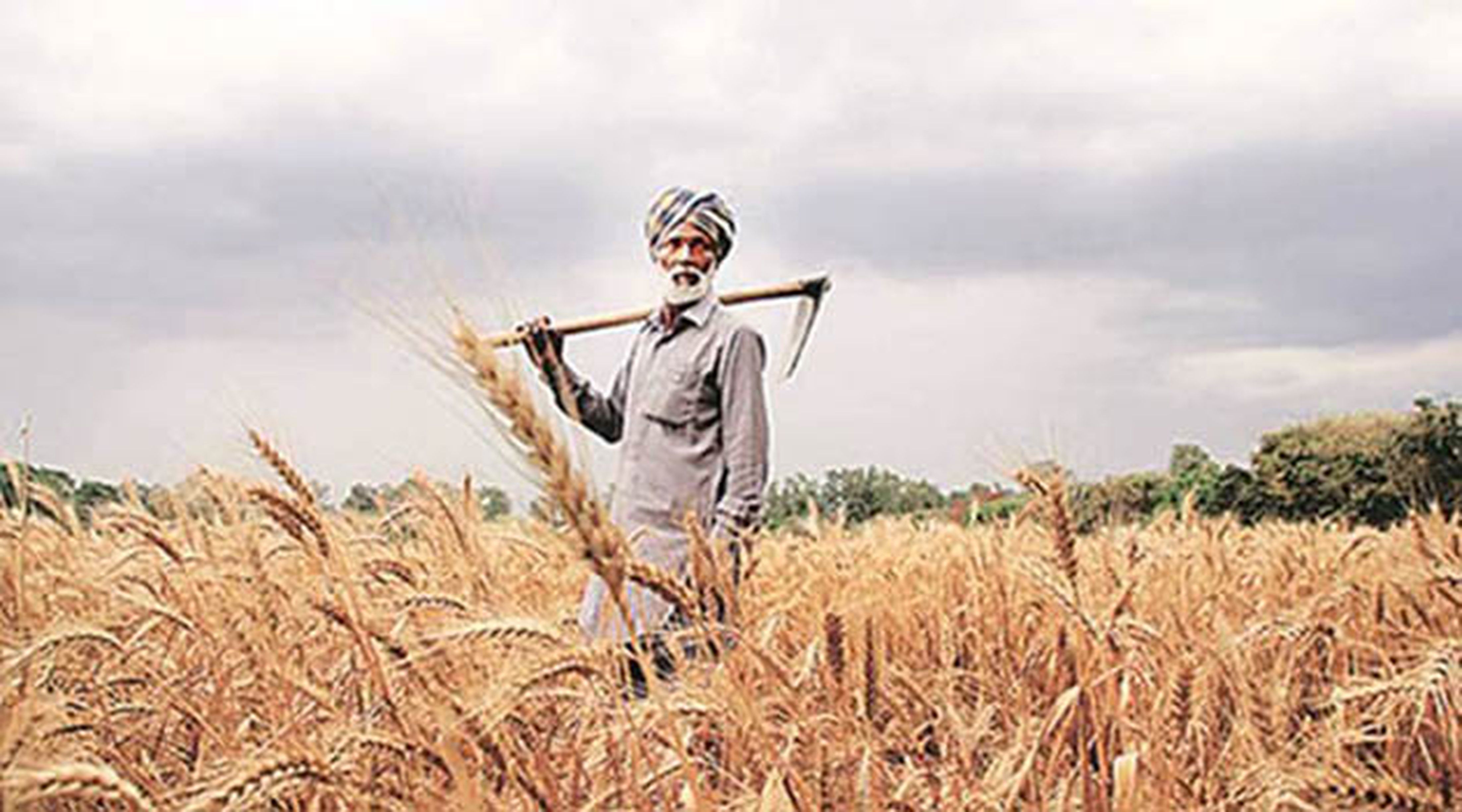 One lakh 14 thousand farmers will be forgiven for the loan