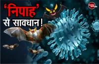 nipah virus rajasthan 