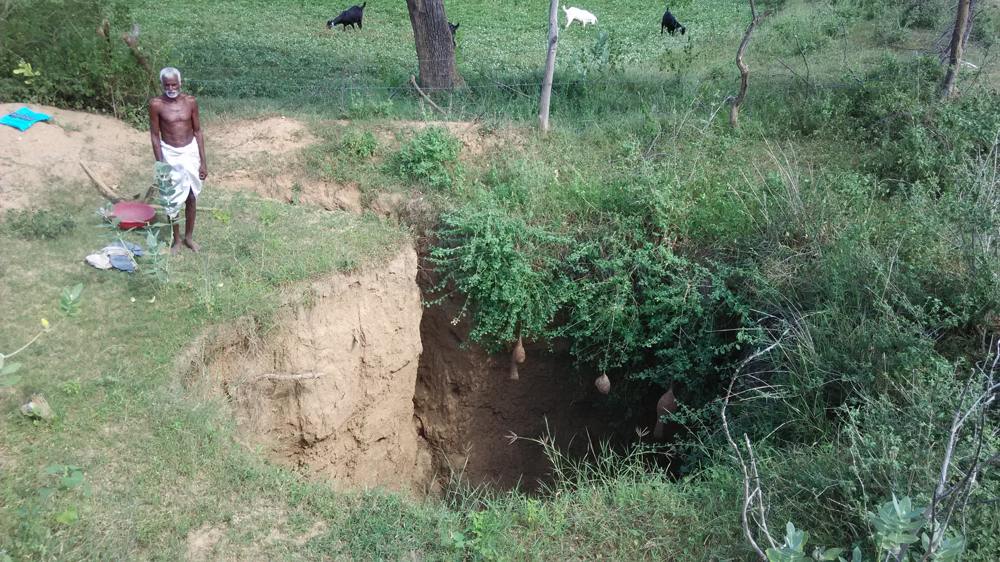 The village did not have water 70 year old man dug well in 18 month