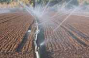 The Parks Department filed a scandal in bhilwara
